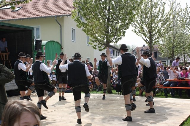 Maibaum 2013